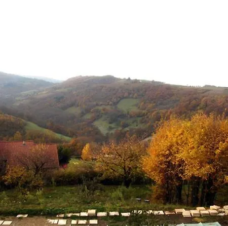 Cadre Paradisiaque Bed & Breakfast *